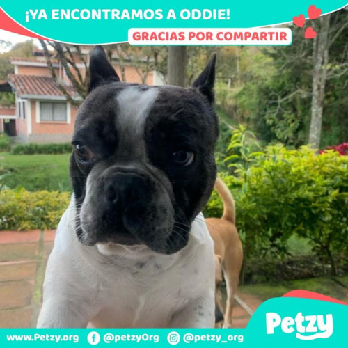 Foto del reencuentro de Oddie