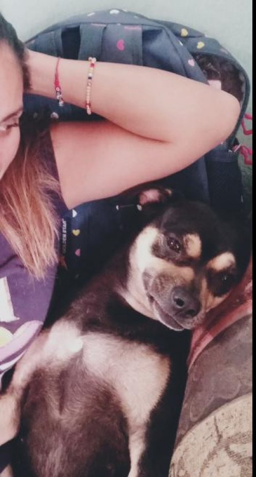 Negra
