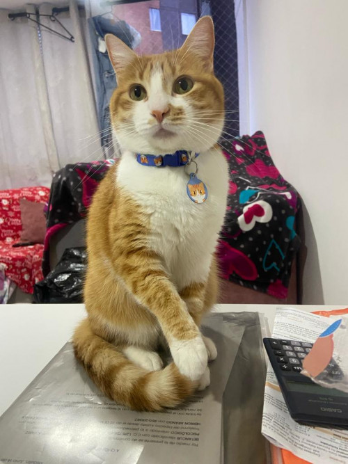 Martín