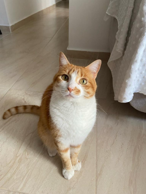 Martín