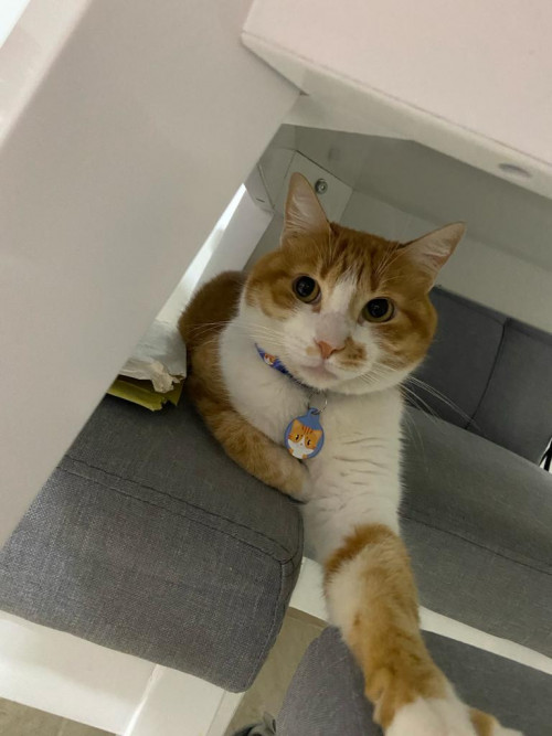 Martín