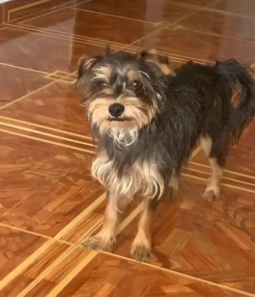Princesa