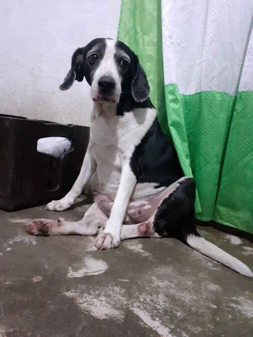 Muñeca