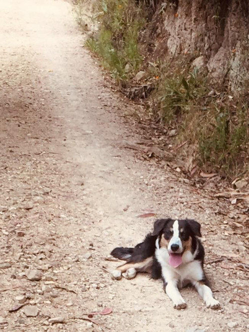 Lola