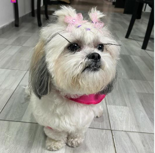 Lilo
