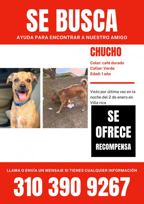 Chucho