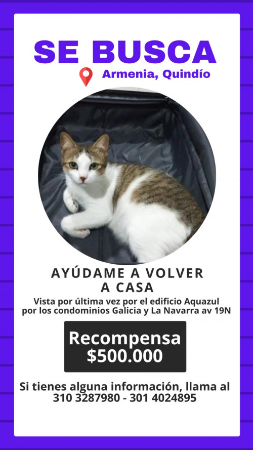 Mía