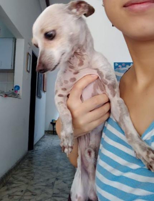 Pinky