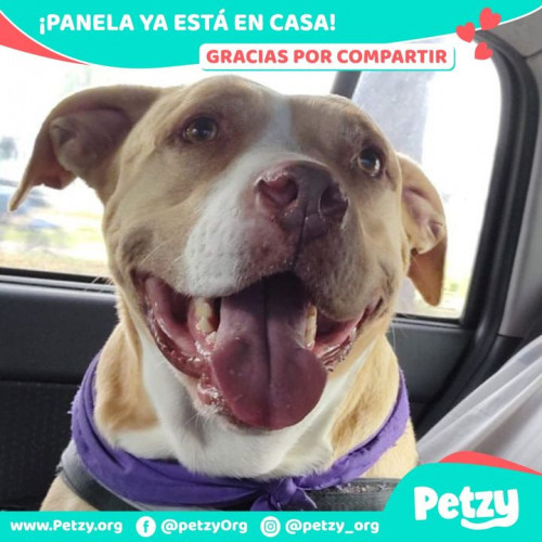 Foto del reencuentro de Panela