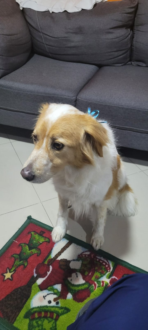 Luna