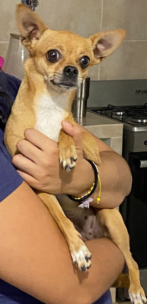 Luna