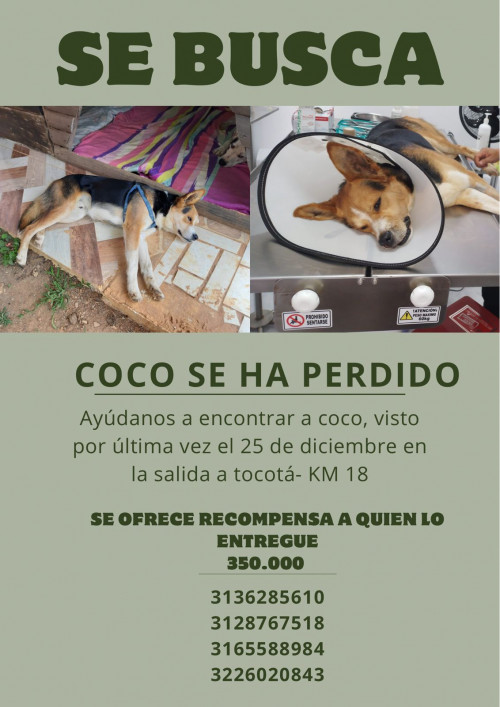 Coco