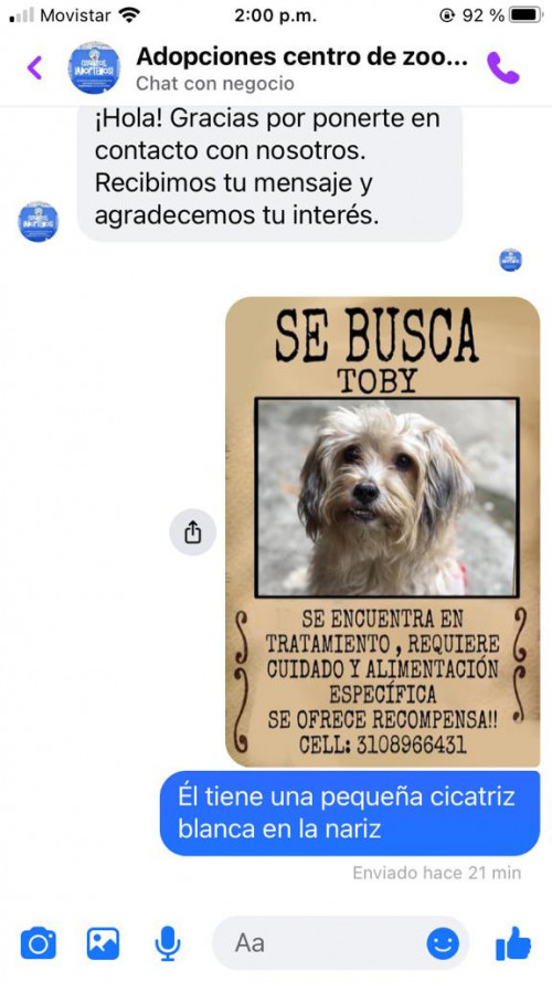 Toby