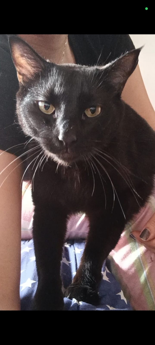 Bruce