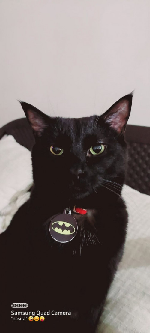 Bruce