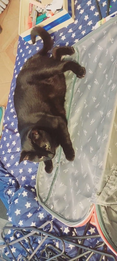 Bruce