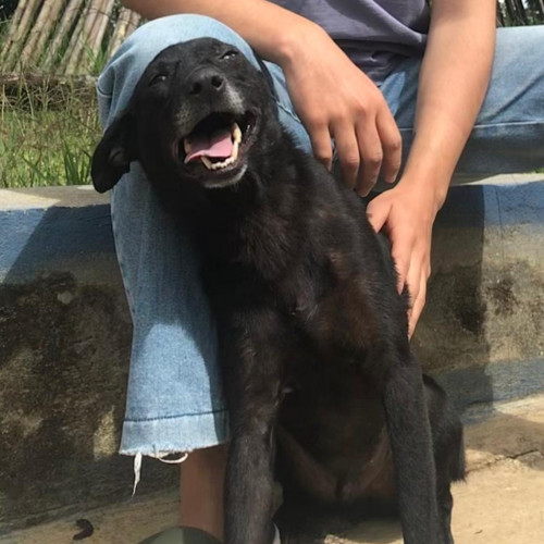 Pantano