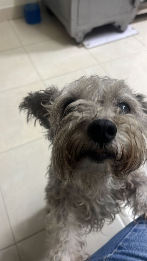 Lupita
