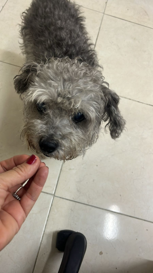 Lupita