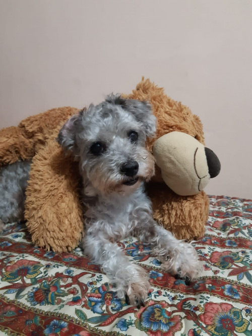 Lupita