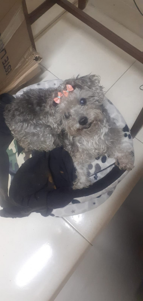 Lupita