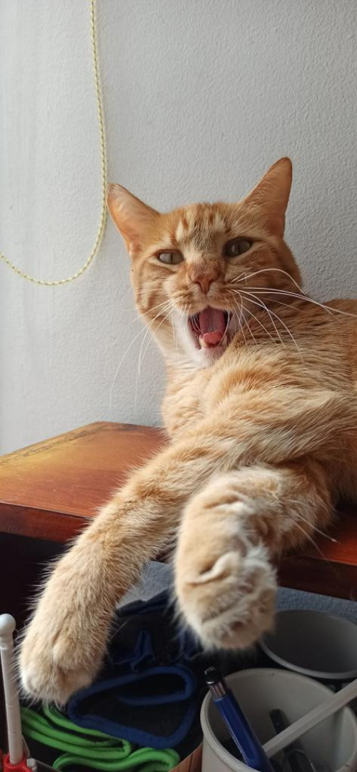 Tatán