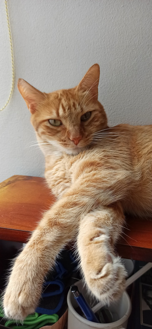 Tatán