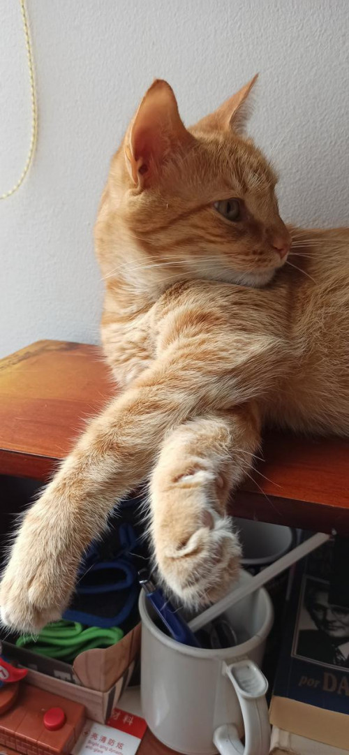 Tatán