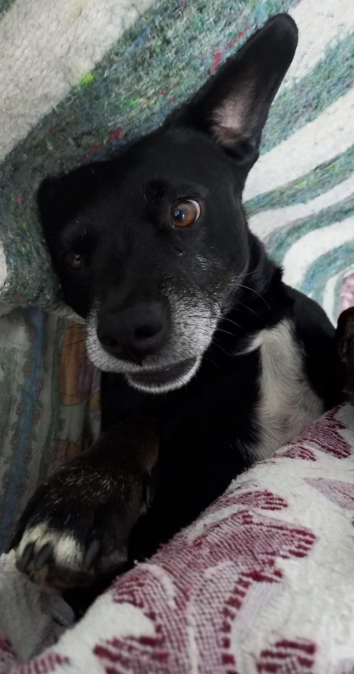 Lukas
