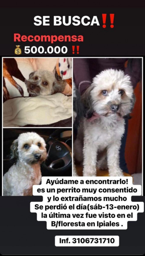 Pepito