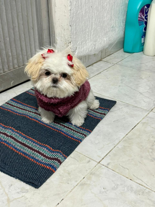 Bonnie
