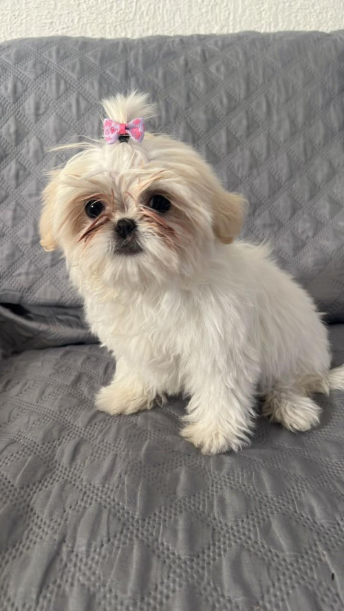 Bonnie