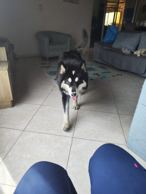 Jack