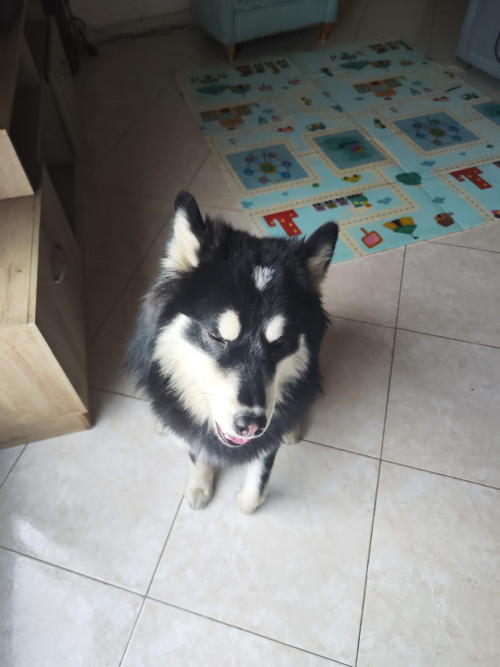 Jack