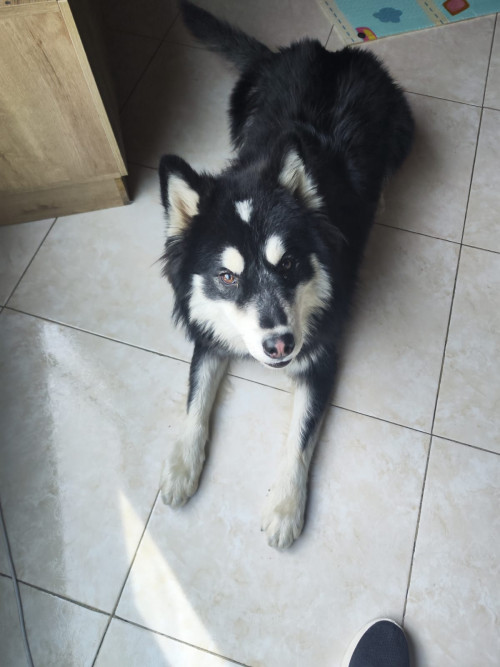 Jack