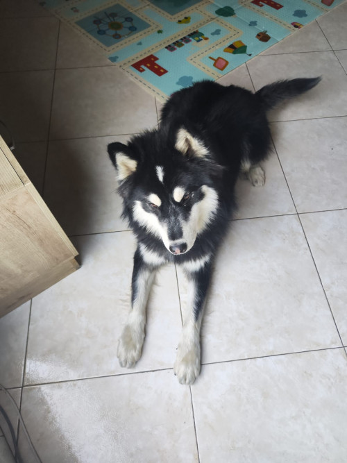Jack