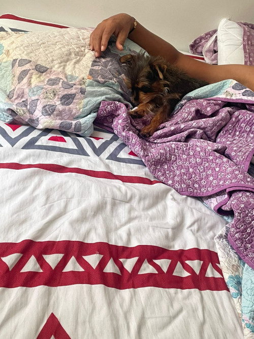 Princesa