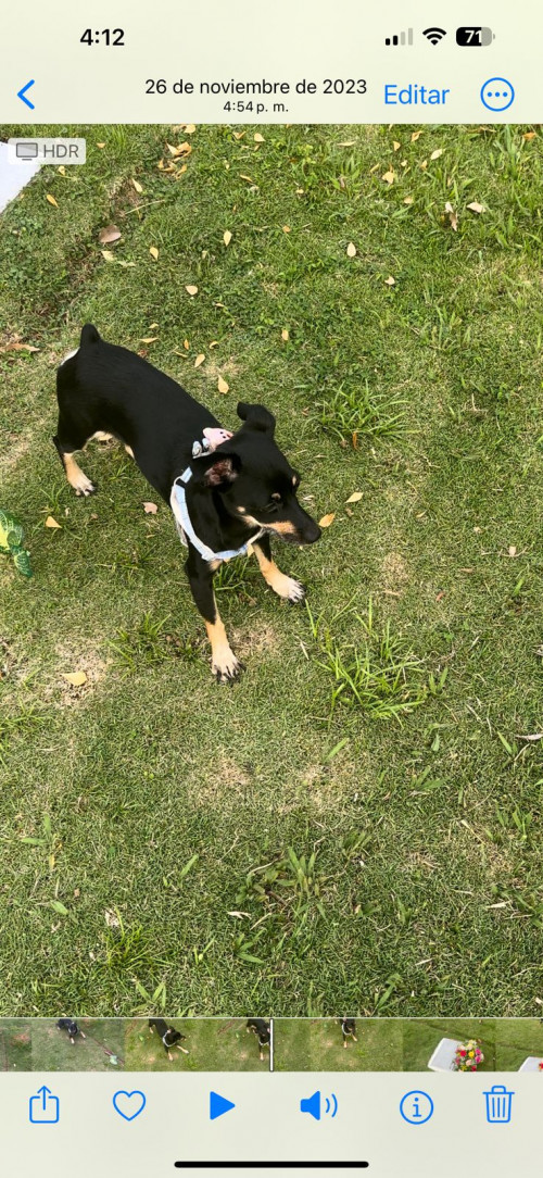 Kira