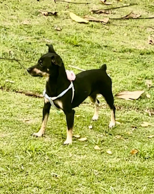 Kira
