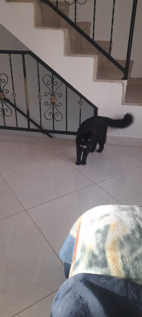 Akamhuz