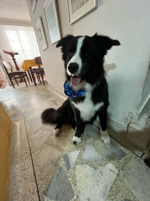 Zeus
