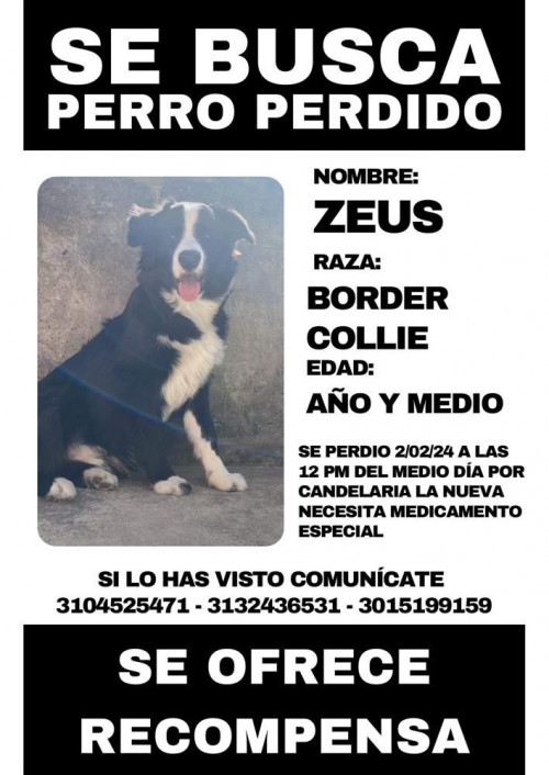 Zeus