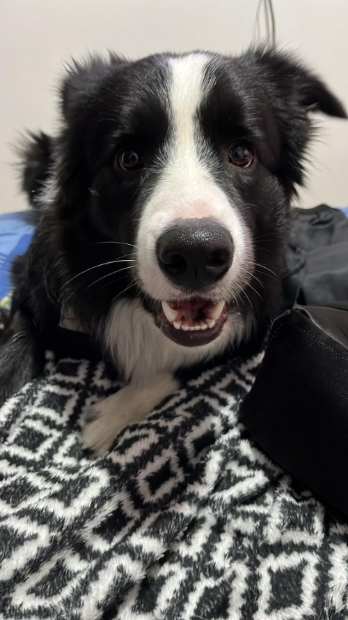 Zeus