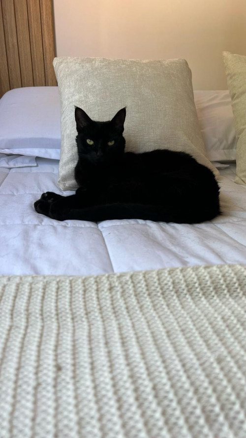 Olivia