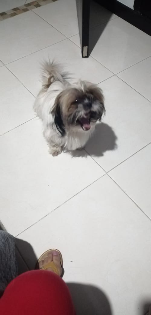 Milu