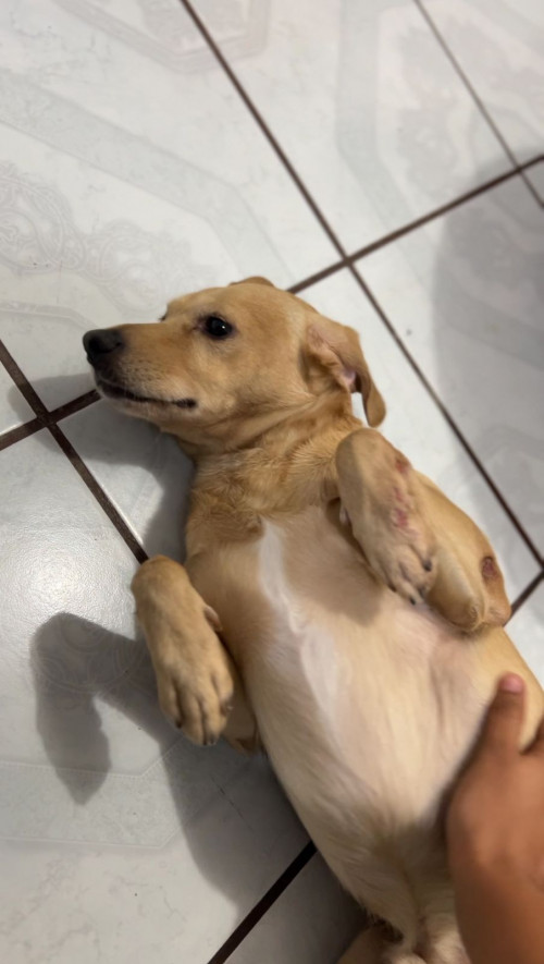 Kalua