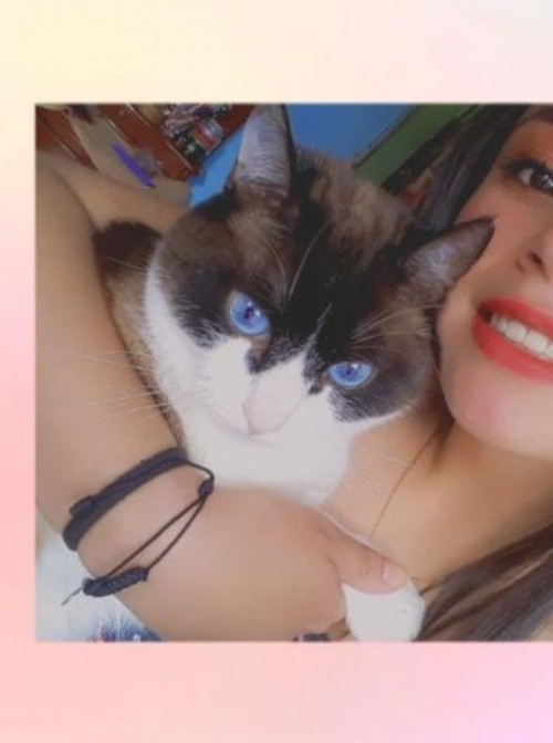 Michi O Gordo