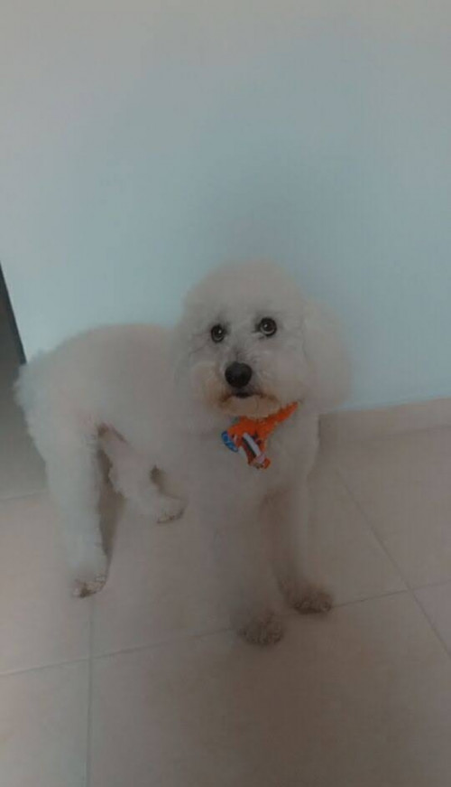 Oddy