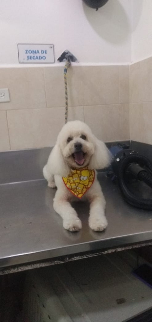 Oddy