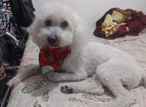 Oddy
